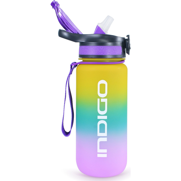 Бутылка для воды INDIGO Taimyr IN374-B, 700мл.