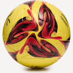 Мяч футбольный JÖGEL Triumph Elite Winter №5